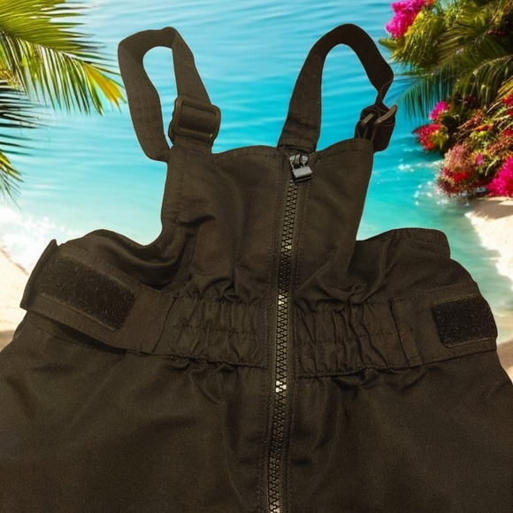 *0120 Cat & Jack bib snow pants boys 3T - Picture 2 of 2